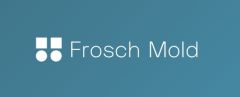 Frosch Mold - Mold Services